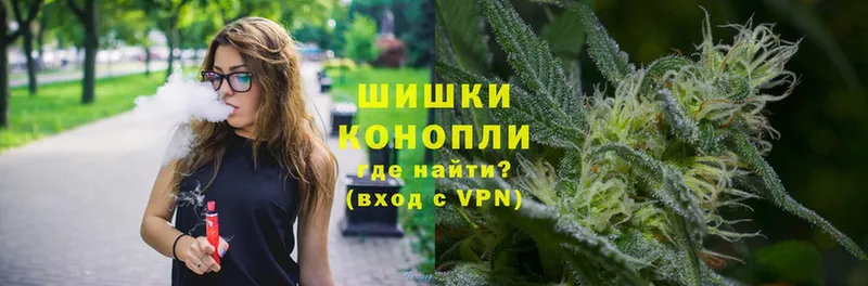 купить наркотик  Вичуга  Бошки марихуана тримм 